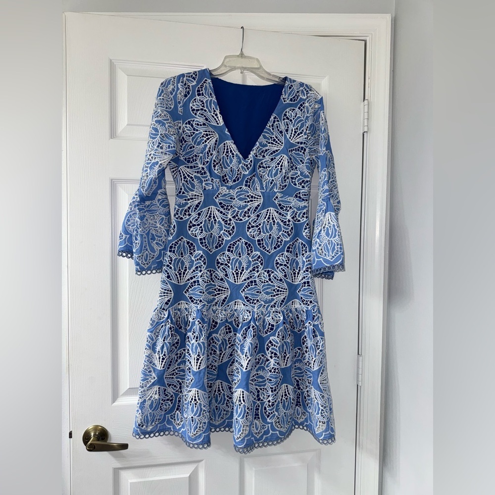 Gorgeous Blue Lace Boston Proper Dress! - Picture 3 of 6